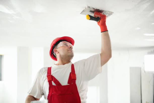 Trusted Chauvin, LA Painting & Drywall Services Experts